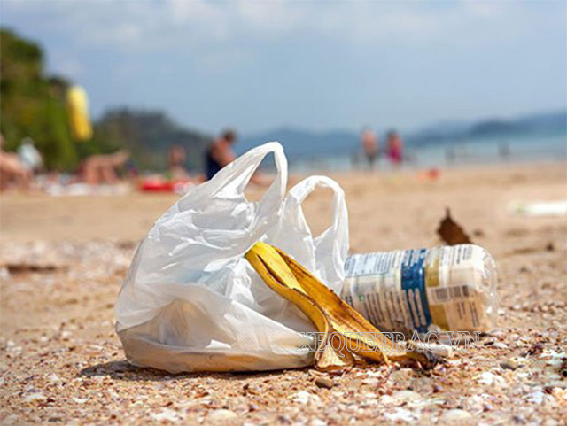 Vứt rác bừa bãi là nguyên nhân khiến cho tình trạng ô nhiễm rác thải nhựa ngày càng nghiêm trọng