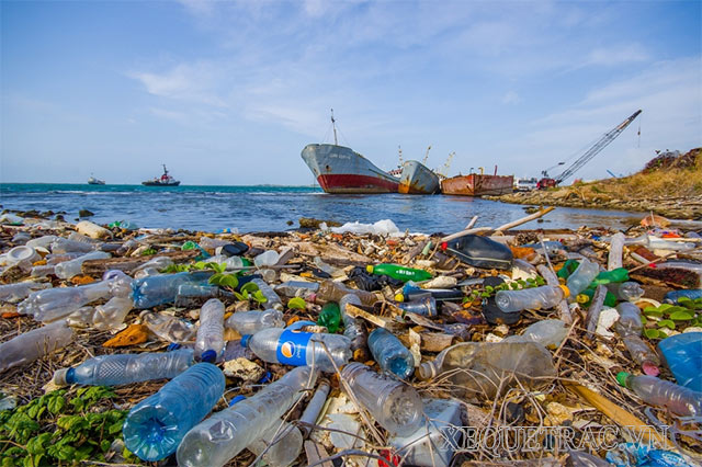 Rác thải nhựa thải ra ngoài môi trường của nước ta đang ngày càng nhiều